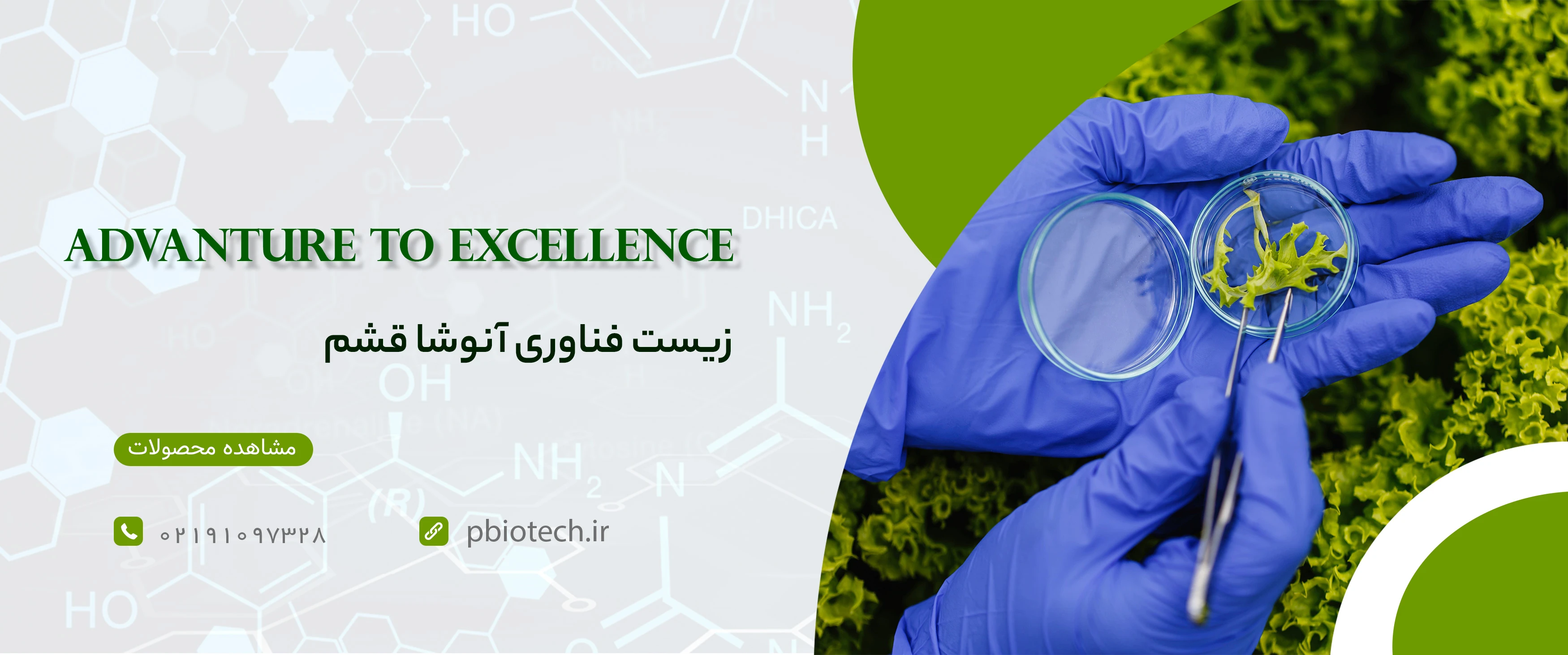 تصویر اسلایدشو